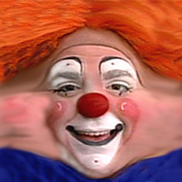 Beautiful Clown Face